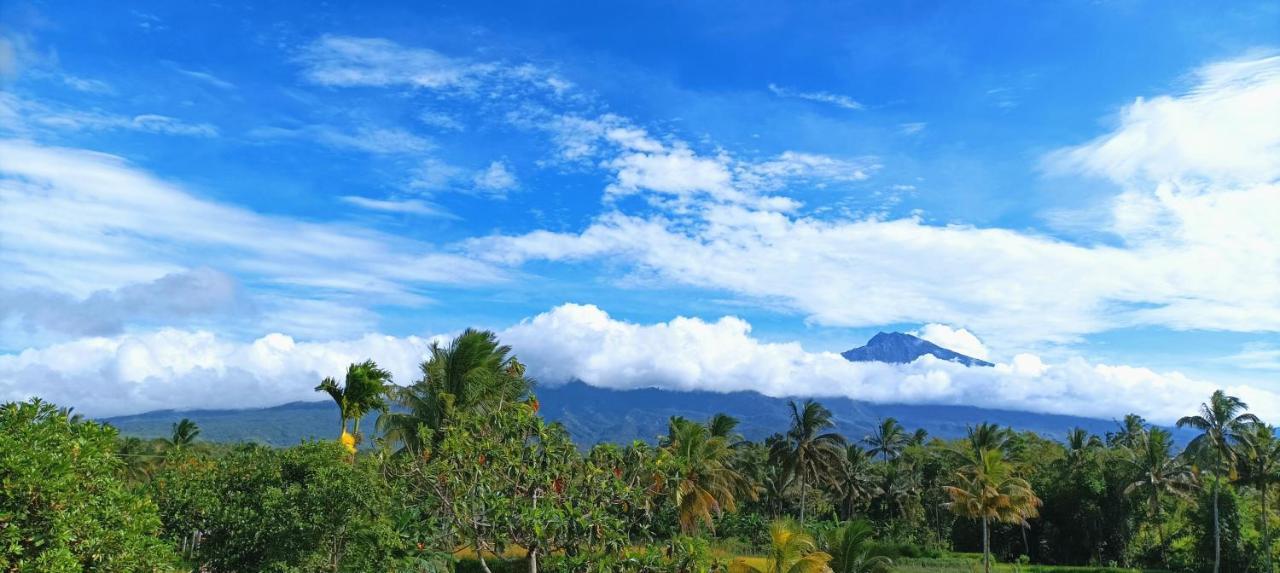 Novia Guest House Lombok-Тетебату Экстерьер фото